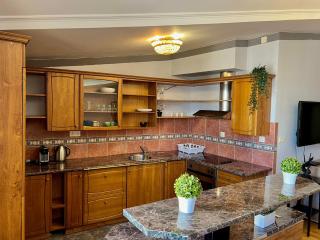 Comfortable 3 Bedroom apartment in the Heart of Prague - Prag - 8