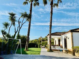Finca Arroyuelo - Prado del Rey - 8