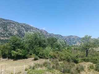 Hotel LULI - Baks-Rrjoll - 3