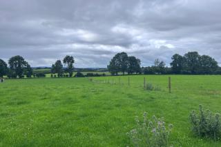 Kilkenny Organic Farm 2-Bed Apt Sleeps 4 Parking - Kilkenny - 2