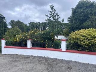 Kilkenny Organic Farm 2-Bed Apt Sleeps 4 Parking - Kilkenny - 3