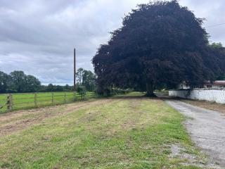 Kilkenny Organic Farm 2-Bed Apt Sleeps 4 Parking - 1