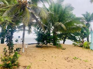 Nid douillet kribi - Kofa - 9