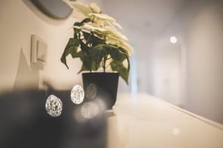 Designer Apartment in Sinsheim Summer Sale - Niederdorla - 4