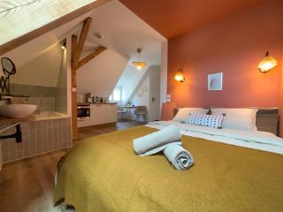 Cosy sous les toits - Charme et modernité - Sarreguemines - 6