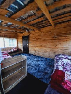 Горное гнездо и юрты - 4