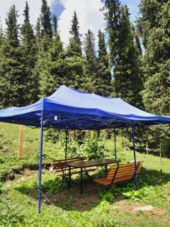 Горное гнездо и юрты - 1