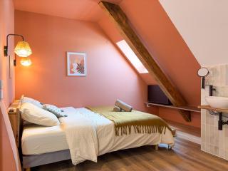 Cosy sous les toits - Charme et modernité - Sarreguemines - 1