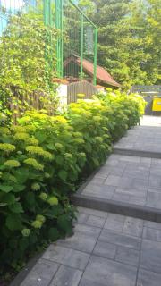 Wśród Zieleni - Olsztyn - 7