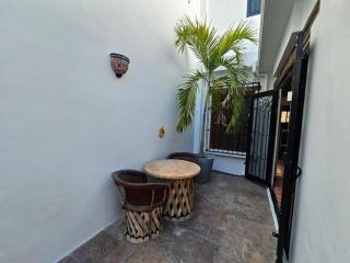 Historic Home with Roof-top Terrace and Grill - Mazatlán - 1