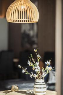 Penthouse with large rooftop terrace, Ski In-Ski Out in Hemsedal - Hemsedal - 7