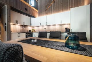 Penthouse with large rooftop terrace, Ski In-Ski Out in Hemsedal - Hemsedal - 1
