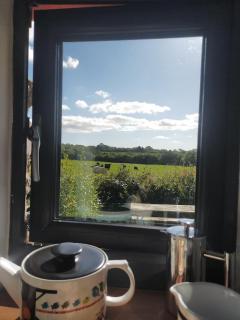 Cattle Shed Cottage - Narberth - 6