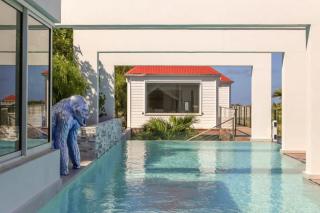 Celestial Villa - Your Heaven in Earth - Marigot - 9