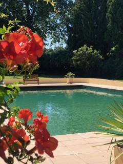 Château Saint Martin de La Garrigue - Montagnac - 2