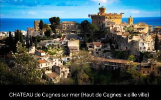 Appartement-Centre ville -Climatisé-Terrasse-Parking - Cagnes-sur-Mer - 9