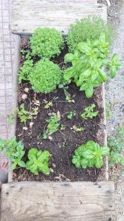 Casa vacanze Nonna Sara - 8