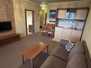 JOINTATRY SK - one and two bedroom apartments - Veľká Lomnica - 1