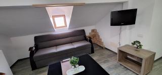 Conac Bistreanu - Eforie Sud - 3