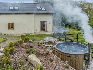 Cwmhyfryd - Llanllwchaiarn - 9
