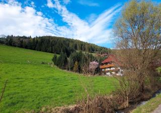Unterer Gurethshof - Zell am Harmersbach - 4