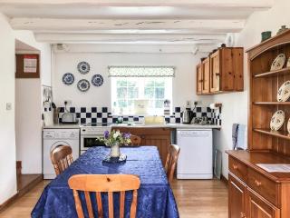 Lletty Cottage - Capel-Ifan - 1