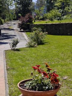 Casa Magnolia - Bientina - 6