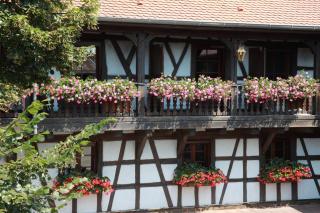 Hotel Restaurant Père Benoît - Entzheim - 0