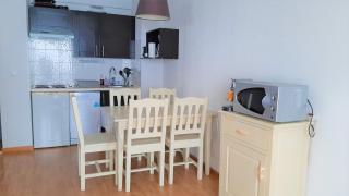 Agréable appartement Super-Besse 5p grand balcon parking privé - Besse-et-Saint-Anastaise - 6