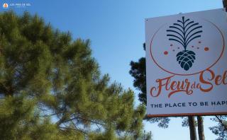Camping Les Pins de Sel - Saint-Augustin - 5