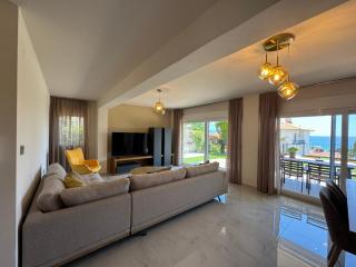 Villa Erofili 1 - PalaiónTsiflíkion - 9
