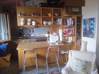 Grigne Apartments 2 - Cassina Valsassina - 1