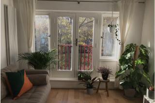 1 big bedroom flat in Haggerston Shoreditch - 3