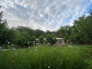 NURATA MOUNTAIN GUESTHOUSE Shiringul - 7