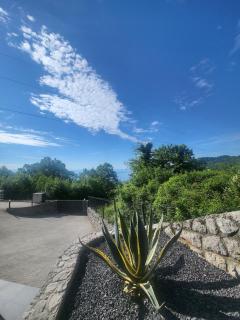 Villa Mona Mia - Veprinac - 5