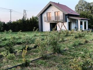 Blueberry Ranch Agroturystyka Pokoje - Mikołajki - 3