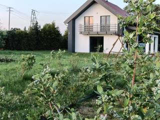 Blueberry Ranch Agroturystyka Pokoje - Mikołajki - 2