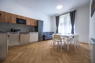 Apartments Ripska - Praga - 9