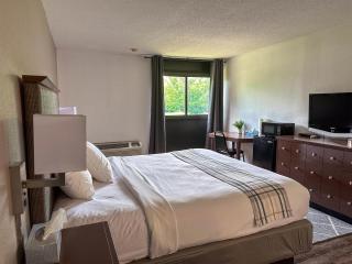 Motel 6 Rochester - Airport - Rochester - 9
