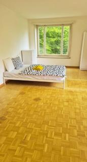 City Center Flats with Balcony & Garden View Rigi - Self Checkin - Zurigo - 8