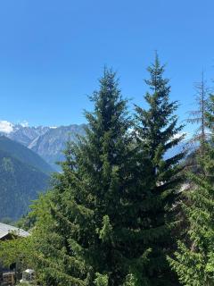 Asters 8 - Verbier - 9
