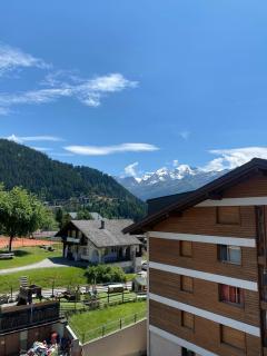 Asters 8 - Verbier - 8