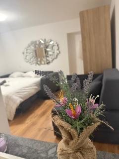 Apartma Lavanda - 8