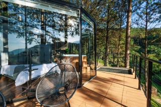 Wonderful Luxury Glass Cabin in Nature - Pomerode - 8