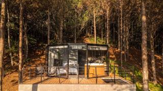 Wonderful Luxury Glass Cabin in Nature - Pomerode - 7