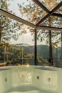 Wonderful Luxury Glass Cabin in Nature - Pomerode - 5