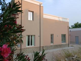 Oasi - 1