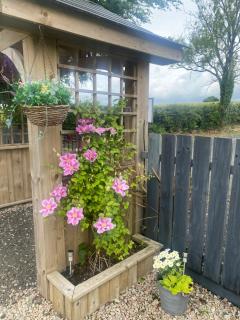 Bonnyview Glamping - Ballycastle - 9