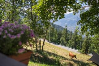 Appartamenti Petite Cerise - Gressan - 4