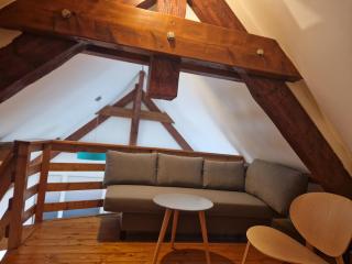 Beautiful apartment in a bucolic, quiet setting - Viuz-la-Chiésaz - 8